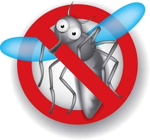 8 убийственных ароматов против комаров
